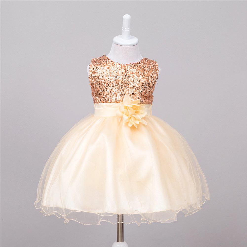 Flower Girl Wedding Princess Dress