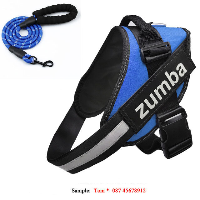 Personalized Reflective Breathable Adjustable Dog Harness and Leash Set