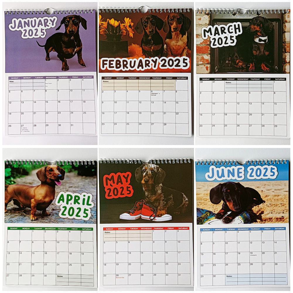 Cheeky Sausage Dog Calendar