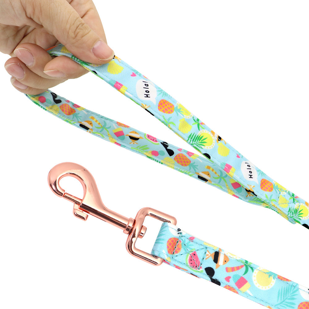 Dog Leash Small Dog Teddy Corgi Supplies Collar