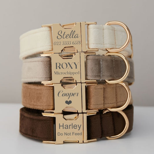 [POD] Premium Collars 100% Handcraft - Multiple Colour Velvet Dog Collar Leash Set With Bow